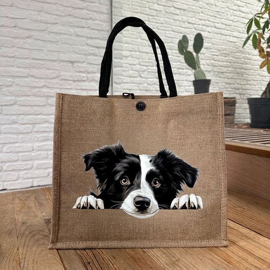 Border Collie design